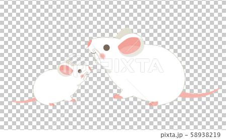 白ネズミの親子 58938219