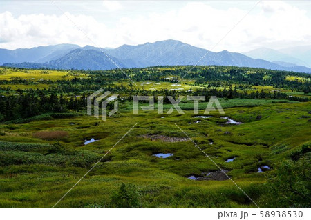 苗場山の湿原と佐武流山 苗場山の湿原と佐武流山 58938530
