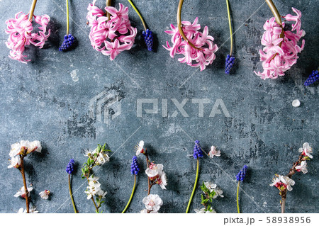 Spring blossom flowers 58938956