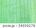 Banana leaf 58939278