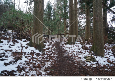 周囲に雪が積もり、倒木で道が塞がれている登山道 58940567