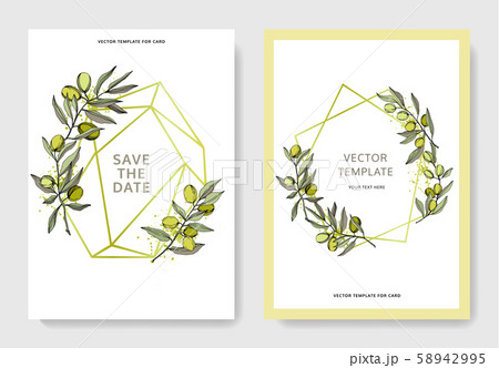 Olive tree in a vector style isolated. Green engraved ink art. 58942995