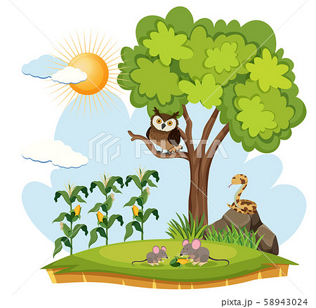 Crop Farm and Wild Animals Crop Farm and Wild Animals 58943024