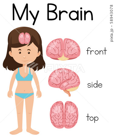 My brain with young girl My brain with young girl 58943078