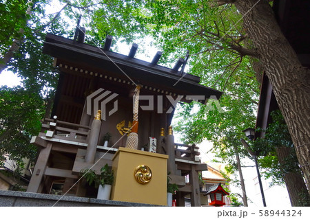 気象神社 高円寺氷川神社 杉並区 気象神社 高円寺氷川神社 杉並区 58944324
