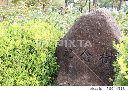 記念樹 語り継ぐ平和と緑　広島県 58944518