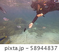 沖縄の海でダイビング 58944837