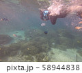 沖縄の海でダイビング 58944838