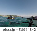 沖縄の海でダイビング 58944842