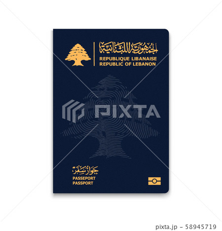 Realistic 3d Passport Realistic 3d Passport 58945719