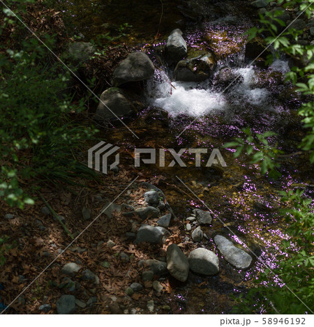 Water Stream in Tris Elies, Troodos mountains 58946192