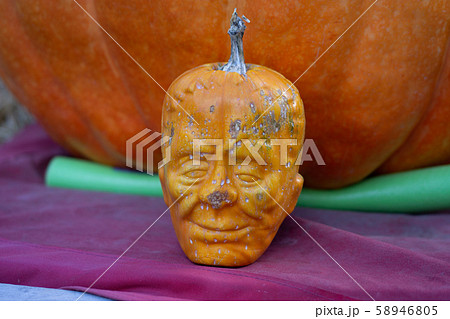 ハロウィンのカボチャ ハロウィンのカボチャ 58946805