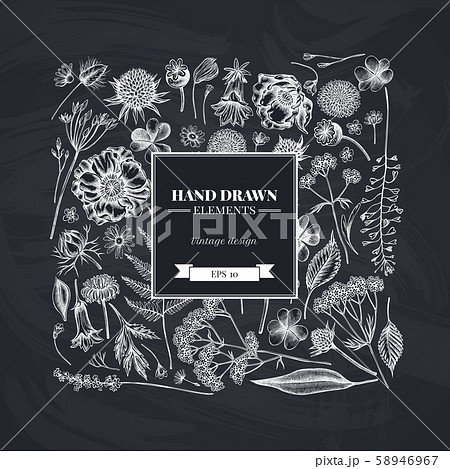 Square design with chalk shepherd's purse, heather, fern, wild garlic, clover, globethistle Square design with chalk shepherd's purse, heather, fern, wild garlic, clover, globethistle 58946967