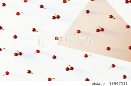 Collection of small red berries 58947531