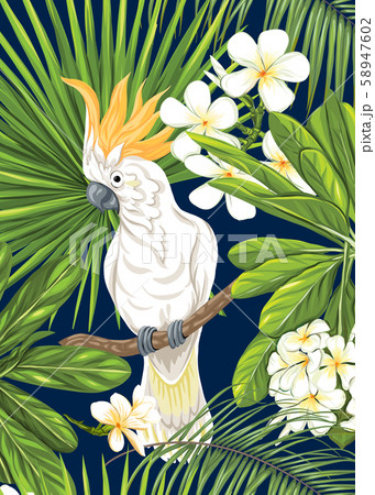 neo card 1 neo card 1 58947602