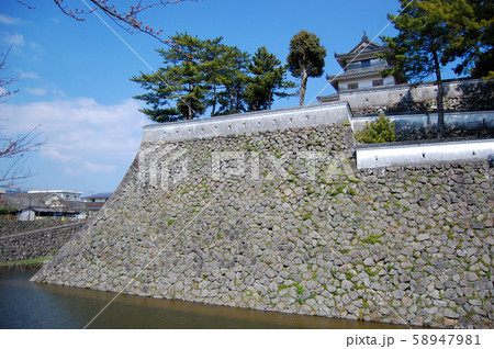 島原城　100名城 58947981