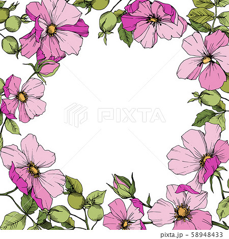 Wildflower rosa canina in a vector style isolated. Frame border ornament square. Wildflower rosa canina in a vector style isolated. Frame border ornament square. 58948433