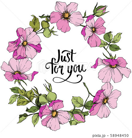 Wildflower rosa canina in a vector style isolated. Frame border ornament square. Wildflower rosa canina in a vector style isolated. Frame border ornament square. 58948450
