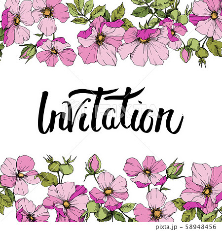 Wildflower rosa canina in a vector style isolated. Frame border ornament square. Wildflower rosa canina in a vector style isolated. Frame border ornament square. 58948456