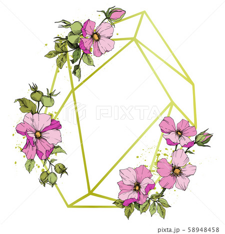 Wildflower rosa canina in a vector style isolated. Pink engraved ink art. Wildflower rosa canina in a vector style isolated. Pink engraved ink art. 58948458