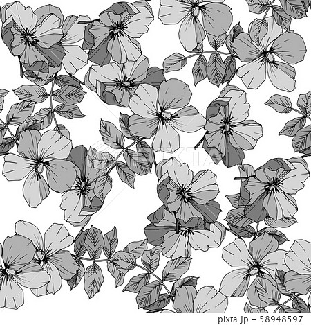 Wildflower rosa canina in a vector style isolated. Black and white engraved ink art. 58948597
