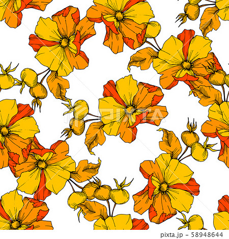 Wildflower rosa canina in a vector style isolated. Yellow engraved ink art. 58948644