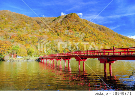 秋の啄木鳥橋 秋の啄木鳥橋 58949371