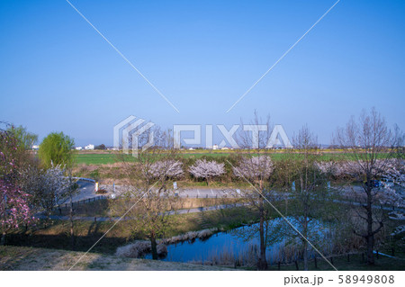 高尾さくら公園　秩父方面景色　まほろばの郷　北本市 58949808