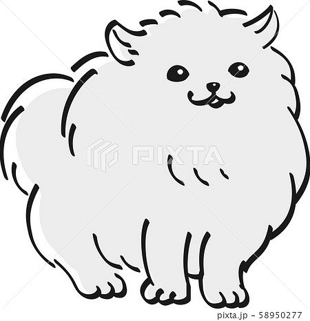 ポメラニアン モノクロ かわいい 子犬 人気 犬のイラスト素材