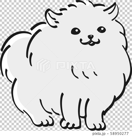 ポメラニアン モノクロ かわいい 子犬 人気 犬のイラスト素材