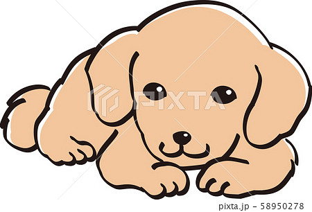 ダックスフント カラー かわいい 子犬 人気 犬のイラスト素材