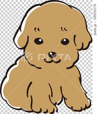 プードル カラー かわいい 子犬 人気 犬のイラスト素材