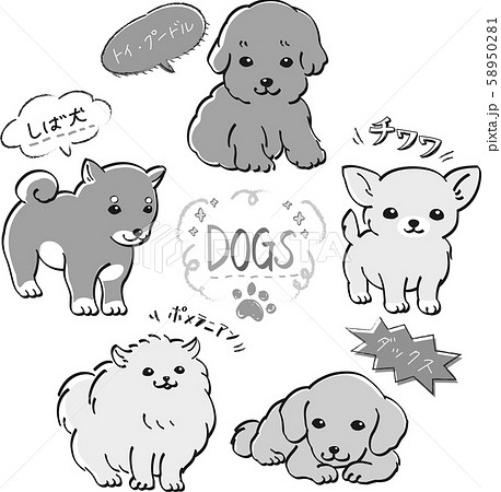 人気 犬 ５種 セット モノクロ 子犬 トイ プードル ダックス ポメラニアン しば犬 チワワのイラスト素材