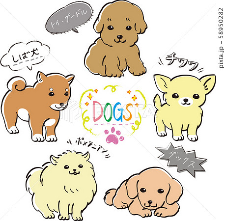 人気 犬 ５種 セット カラー 子犬 トイ プードル ダックス ポメラニアン しば犬 チワワのイラスト素材 5502