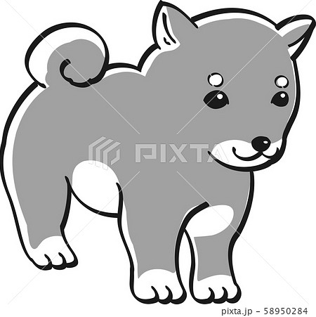 しば犬 モノクロ かわいい 子犬 人気 犬のイラスト素材