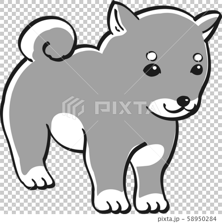 しば犬 モノクロ かわいい 子犬 人気 犬のイラスト素材