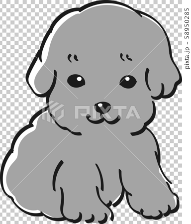 プードル モノクロ かわいい 子犬 人気 犬のイラスト素材
