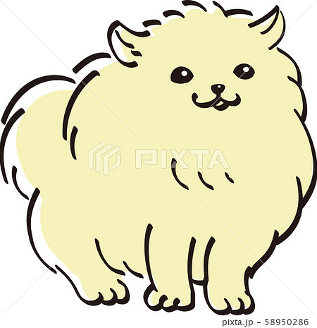 ポメラニアン カラー かわいい 子犬 人気 犬のイラスト素材