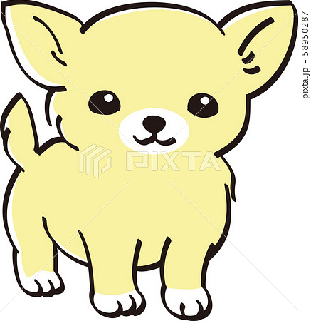 チワワ カラー かわいい 子犬 人気 犬のイラスト素材