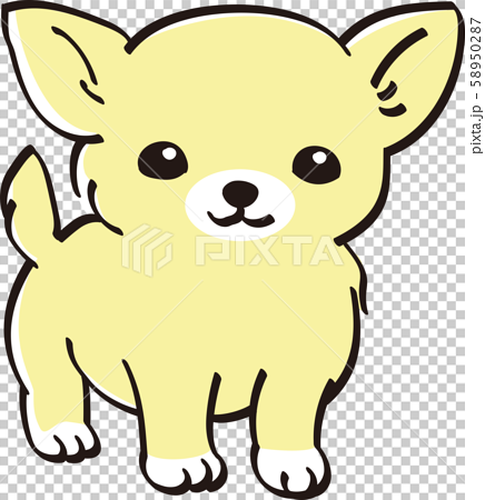 Chihuahua Color Cute Puppy Popular Dog Stock Illustration