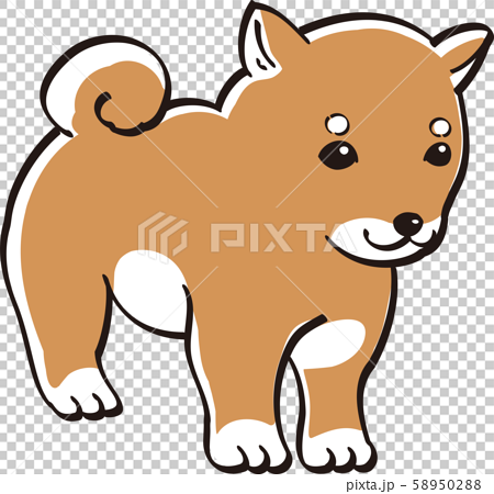 しば犬 カラー かわいい 子犬 人気 犬のイラスト素材 5502