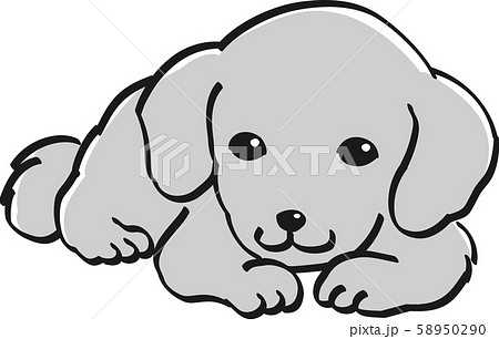 ダックスフント モノクロ かわいい 子犬 人気 犬のイラスト素材