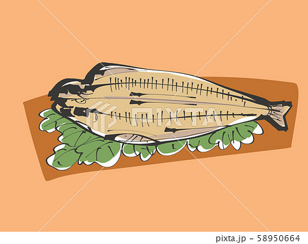 ほっけの干物　ベタ塗 58950664