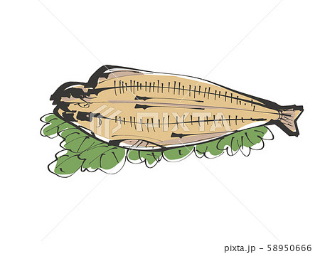 ほっけの干物 ベタ塗素材 ほっけの干物 ベタ塗素材 58950666