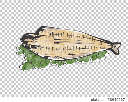 Hokke dried fish watercolor material Hokke dried fish watercolor material 58950667