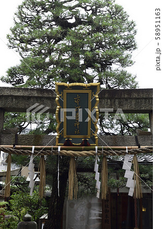 市比賣神社 鳥居 市比賣神社 鳥居 58951163