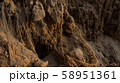 sand 58951361