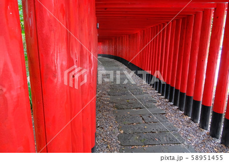 神徳稲荷神社の鳥居のトンネル 58951455