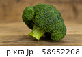 ブロッコリー 58952208