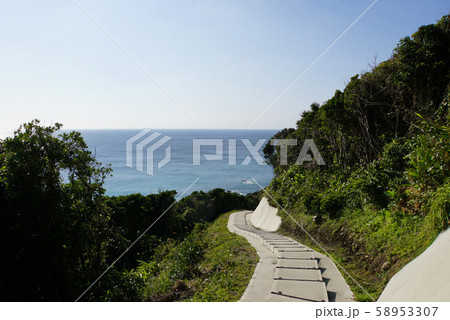 種子島 高台から水平線を望む 種子島 高台から水平線を望む 58953307